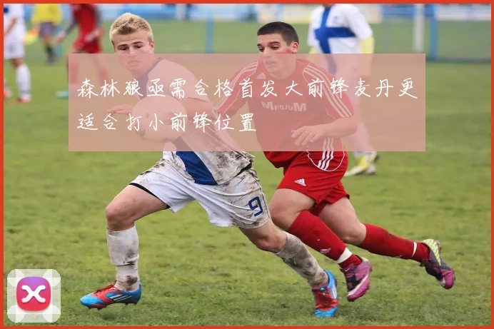 森林狼亟需合格首发大前锋麦丹更适合打小前锋位置